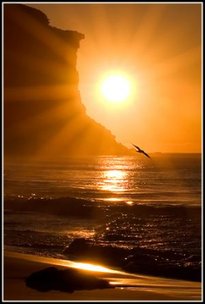 sunlight